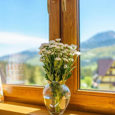 Widokowka Tatry I 考斯赛力克