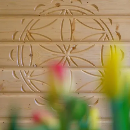 Widokowka Tatry I 考斯赛力克