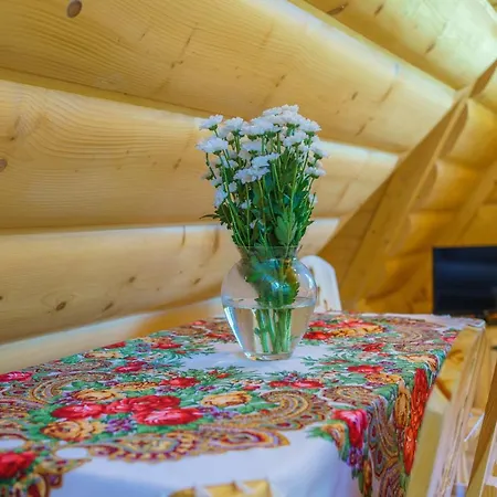 Widokowka Tatry I 民宿 *