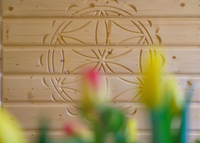 Widokowka Tatry I Kościelisko