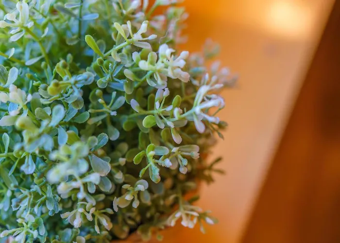 Rum i privatbostad Widokowka Tatry I *